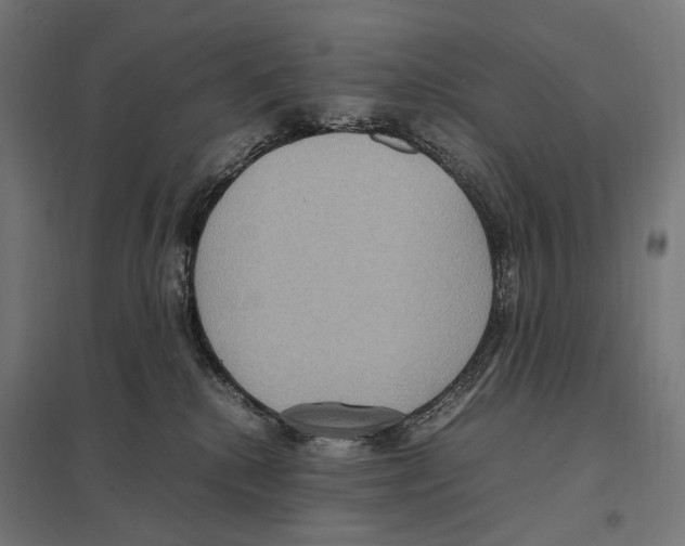 X0000097600280200803280958