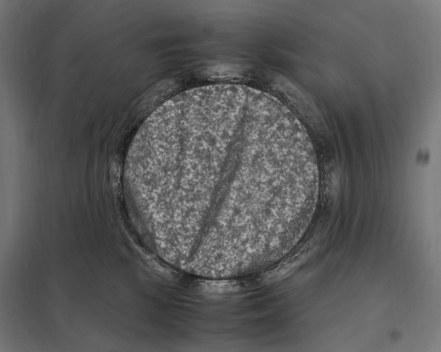 X0000097600281200803280958