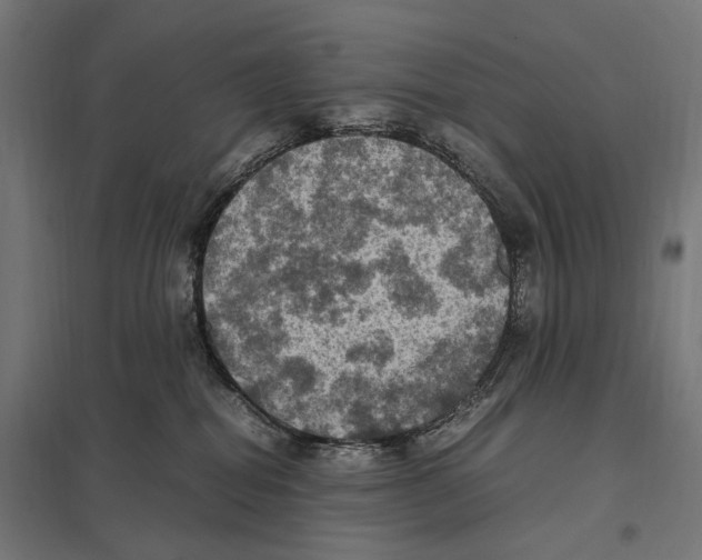 X0000097600282200803280958