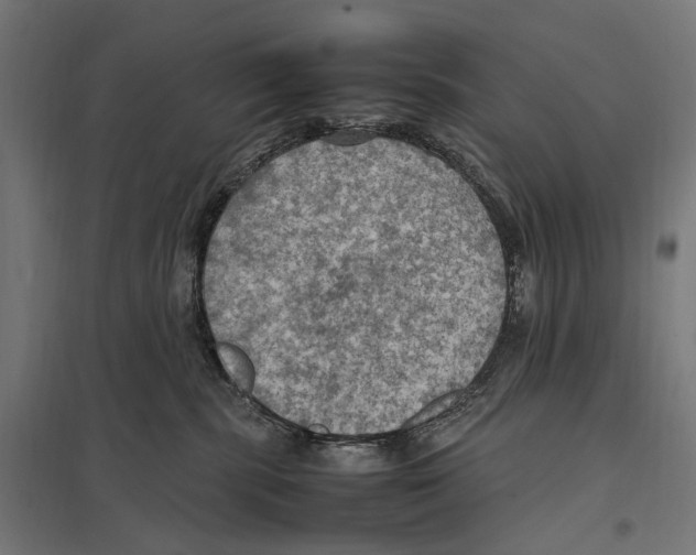 X0000097600283200803280958