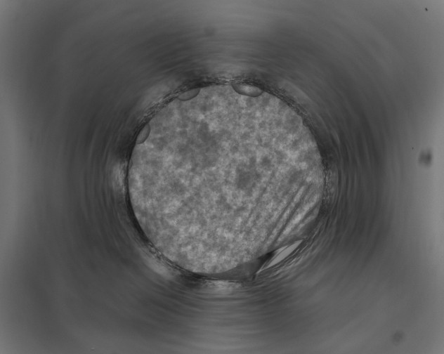 X0000097600286200803280958