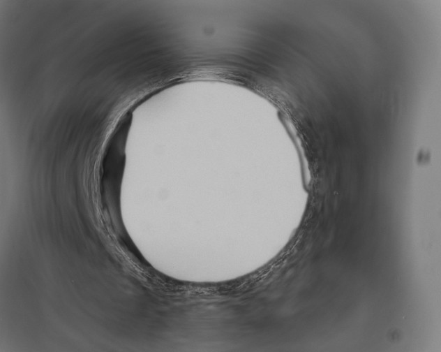 X0000097600289200803280957