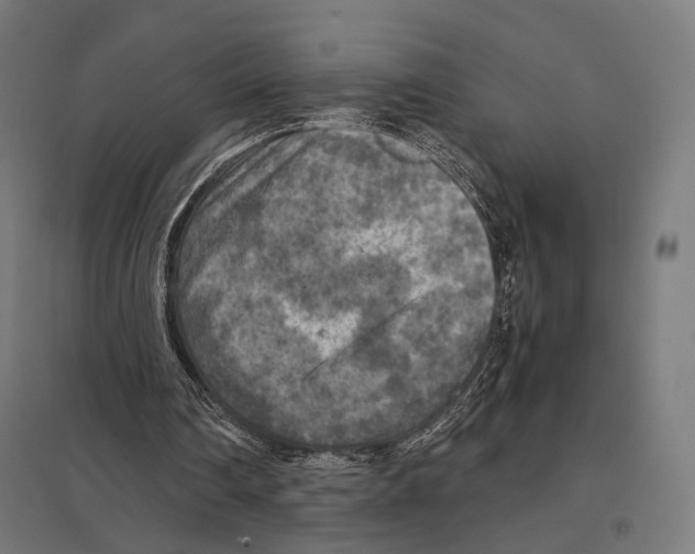 X0000097600290200803280957