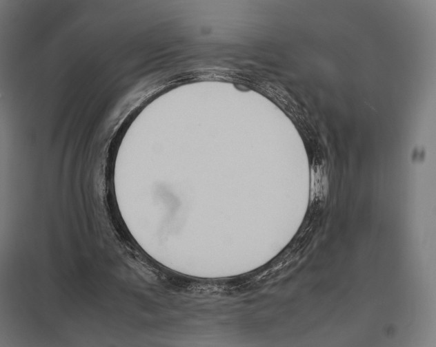 X0000097600291200803280957