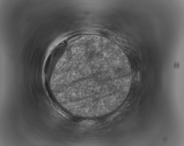 X0000097600294200803280957