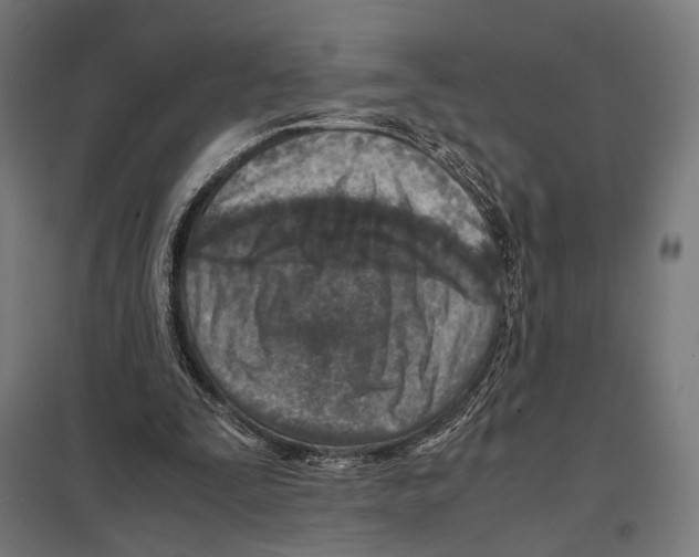 X0000097600295200803280957