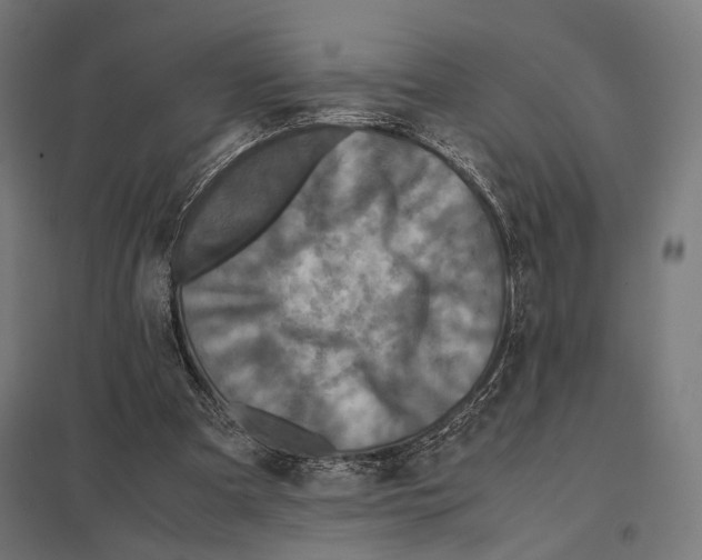 X0000097600297200803280957