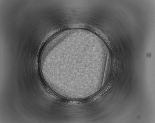 X0000097600298200803280957