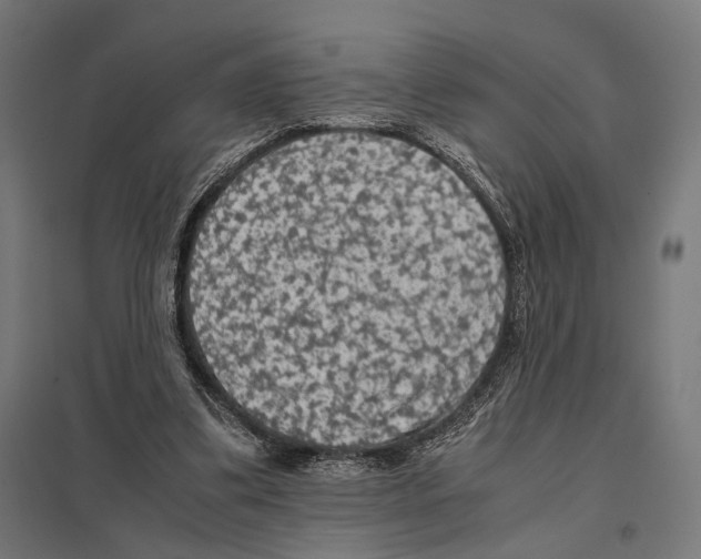 X0000097600299200803280957