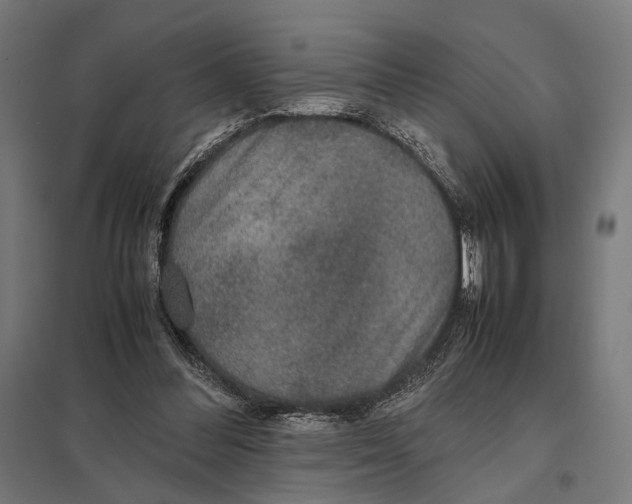 X0000097600300200803280957