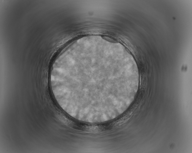 X0000097600301200803280957