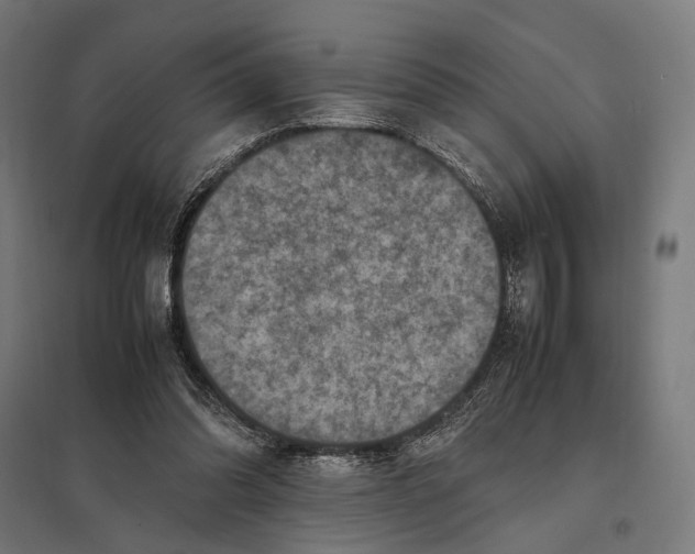 X0000097600302200803280957