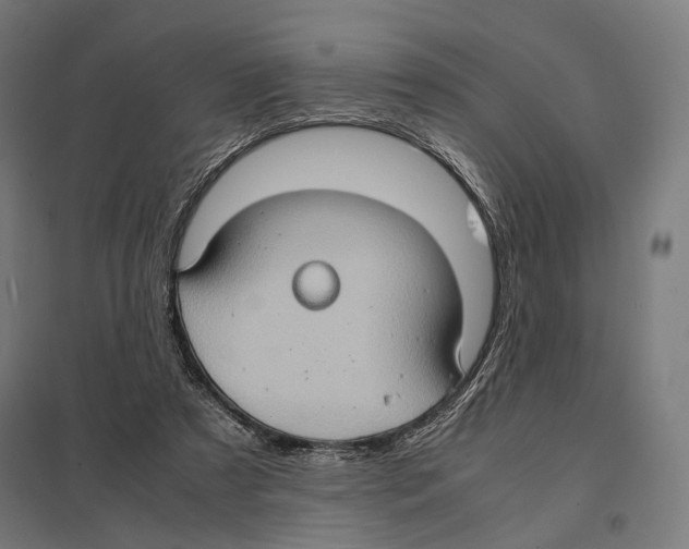 X0000097600305200803280957