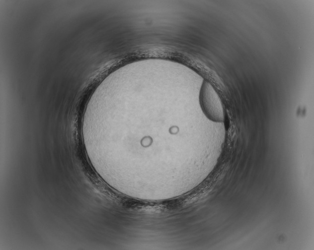 X0000097600306200803280957