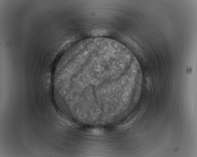 X0000097600308200803280957