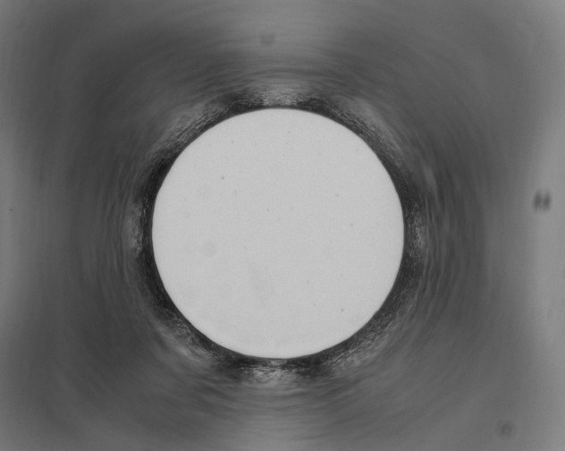 X0000097600311200803280957