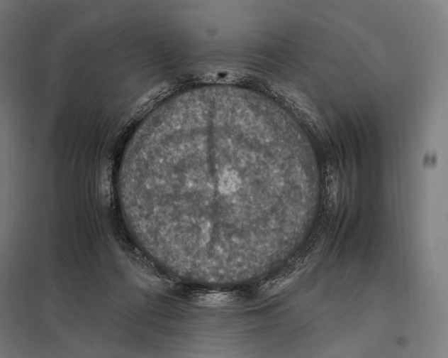 X0000097600312200803280957