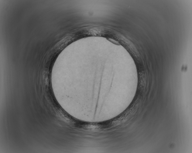 X0000097600313200803280957