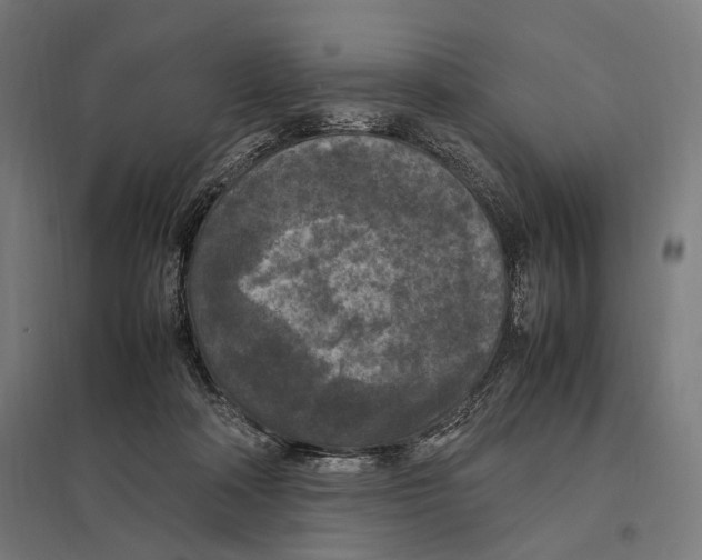 X0000097600314200803280957