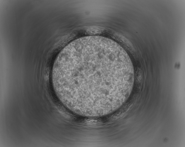 X0000097600315200803280957