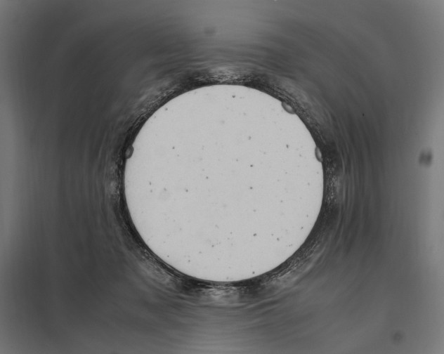 X0000097600317200803280957