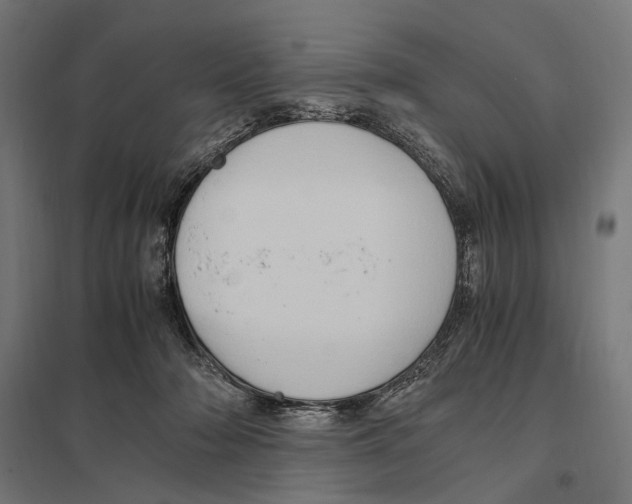 X0000097600318200803280957