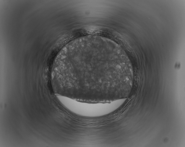 X0000097600319200803280957