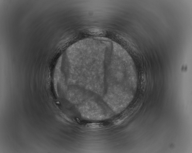 X0000097600320200803280957