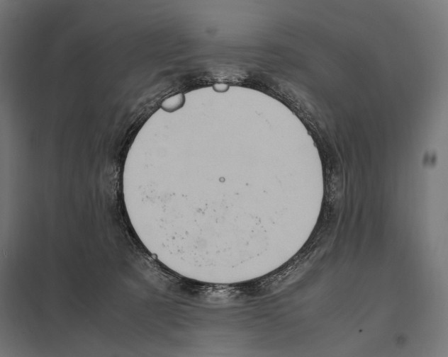 X0000097600321200803280957