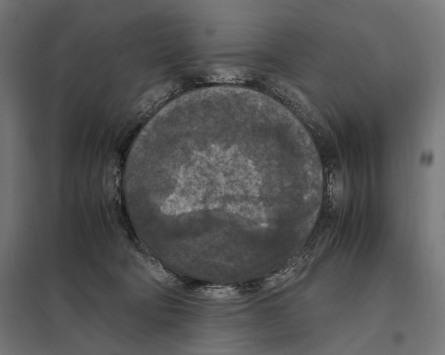 X0000097600322200803280957