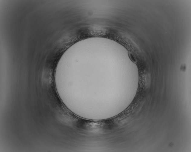 X0000097600323200803280957