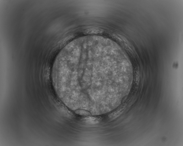 X0000097600326200803280957