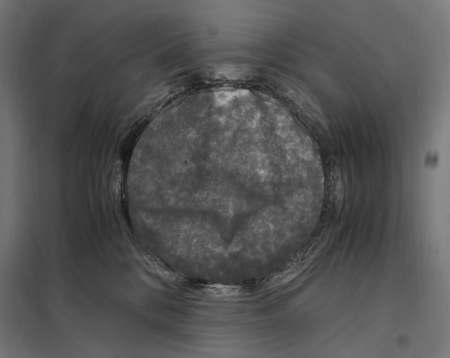 X0000097600328200803280957