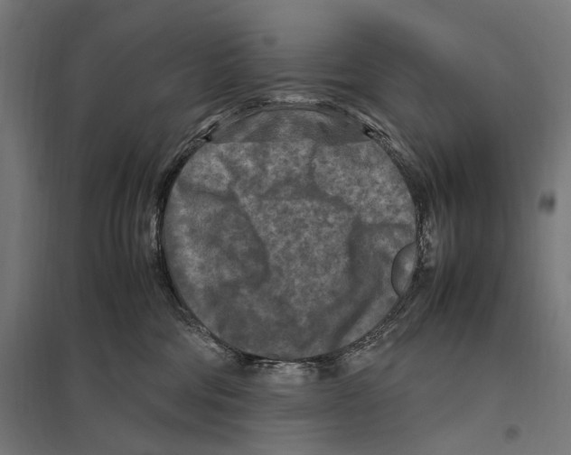 X0000097600330200803280957