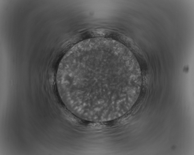 X0000097600331200803280957