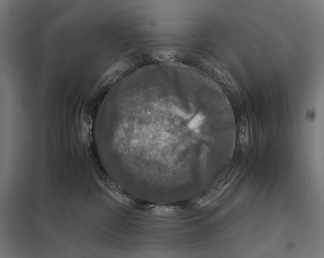 X0000097600332200803280957