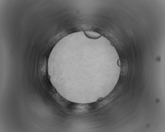 X0000097600334200803280957