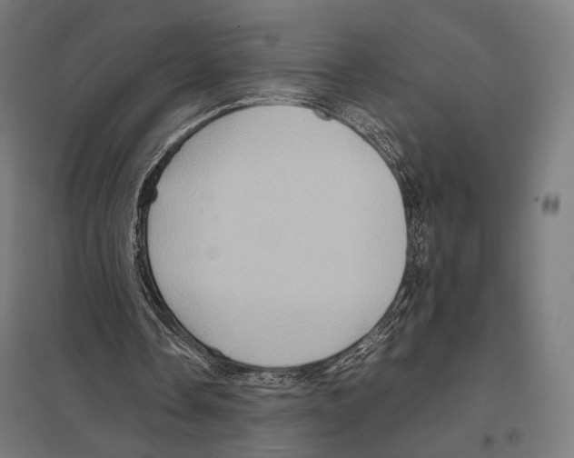 X0000097600338200803280956