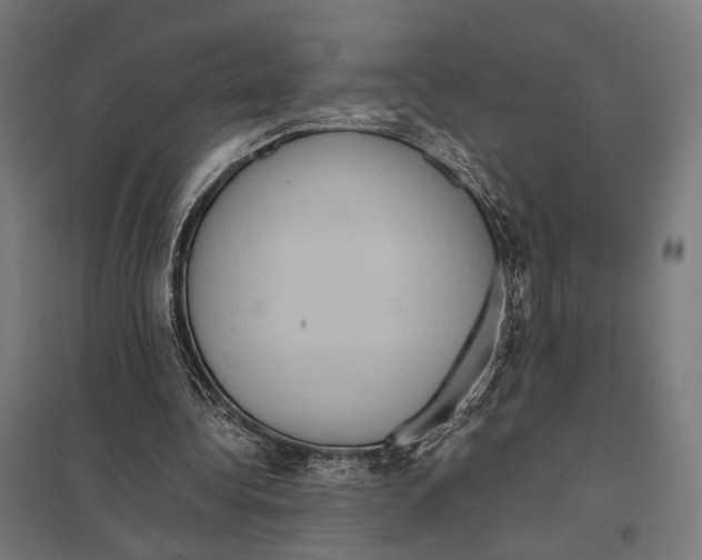 X0000097600340200803280956