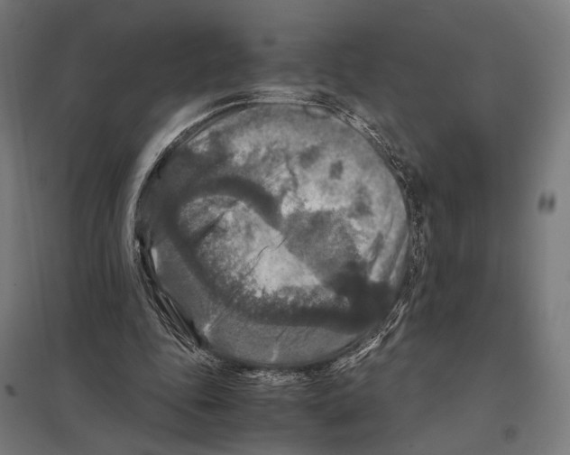 X0000097600343200803280956