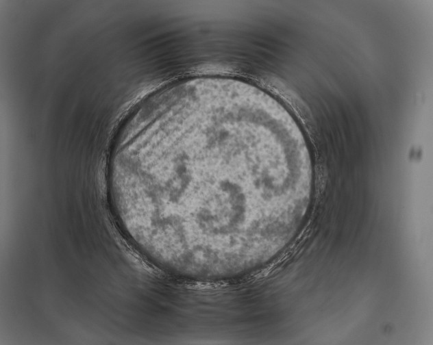 X0000097600345200803280956