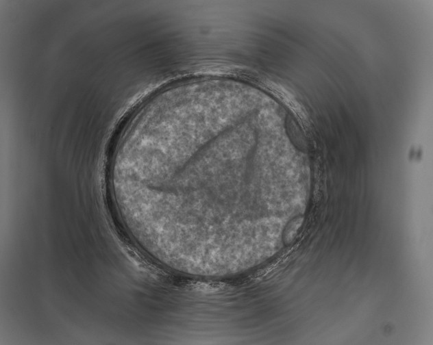 X0000097600346200803280956