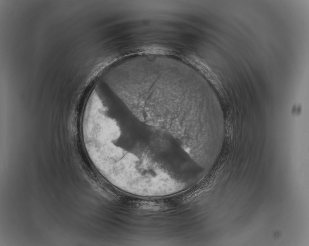 X0000097600347200803280956