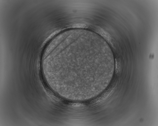 X0000097600348200803280956