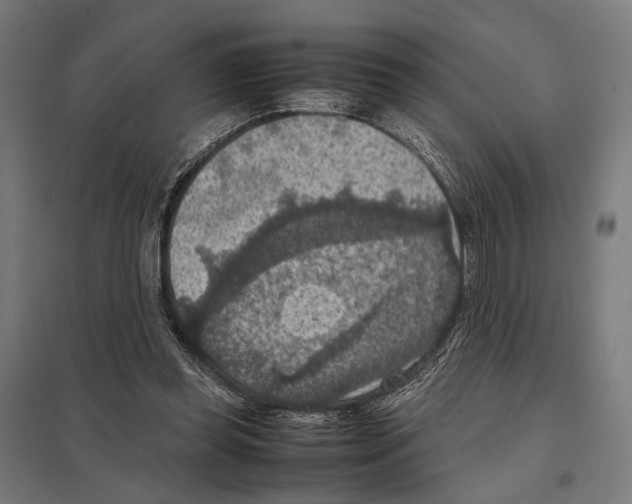 X0000097600349200803280956