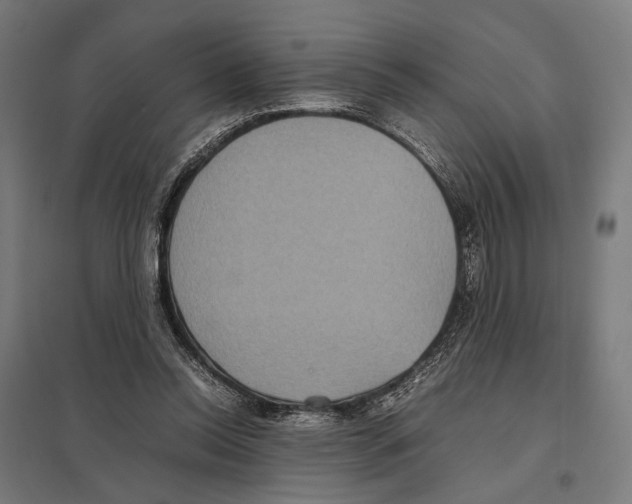 X0000097600350200803280956