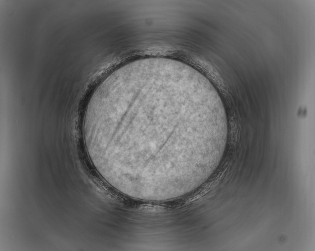 X0000097600354200803280956