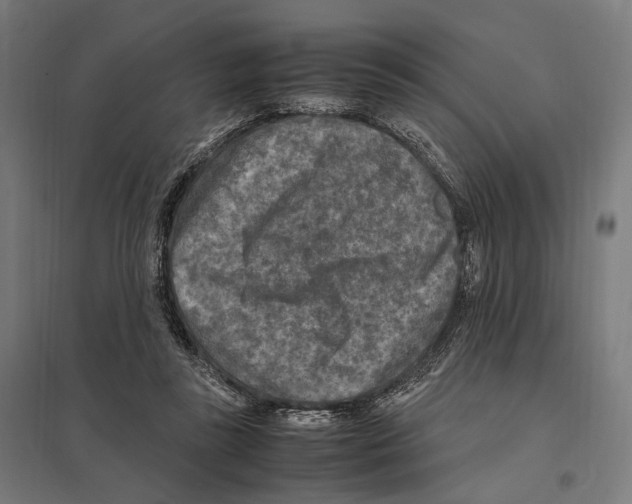 X0000097600355200803280956