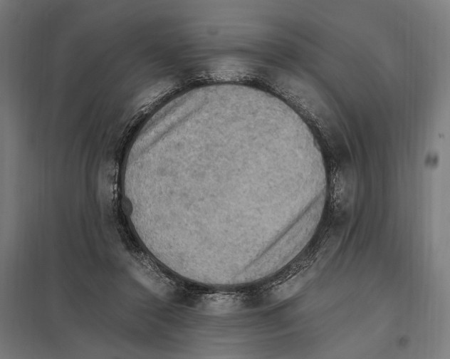 X0000097600356200803280956