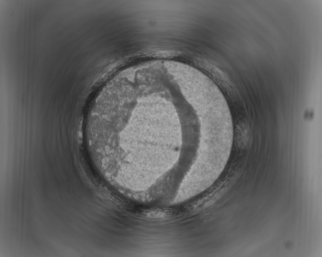 X0000097600358200803280956